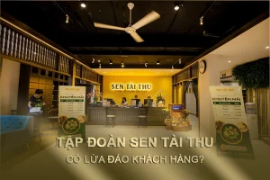 Tập đoàn Sen Tài Thu lừa đảo nhà đầu tư, mất khả năng chi trả - Happy Live