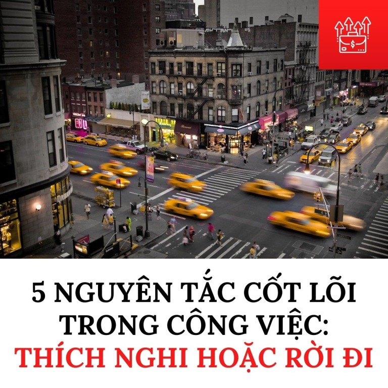 5 nguyên tắc cốt lõi trong công việc: thích nghi hoặc rời đi - Happy Live