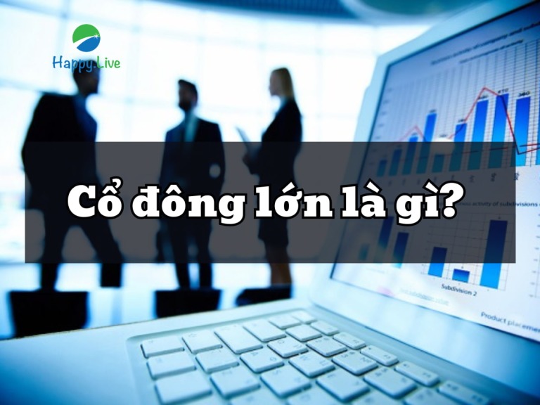 co-dong-lon-la-gi-bi-mat-quyen-luc-va-tam-anh-huong-trong-doanh-nghiep-happy-live-1 (2)