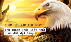Cuộc tái sinh của đại bàng và bài học: Đương đầu hoặc là chết - Happy Live