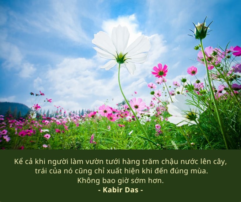 Hướng dẫn tránh bẫy làm giàu nhanh cho nhà đầu tư F0