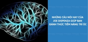 Những câu nói truyền cảm hứng của Joe Dispenza giúp bạn cân bằng Thân - Tâm - Trí