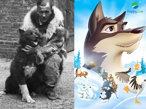 Balto - chú chó lai sói