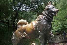 Statue of Balto in New York City’s Central Park