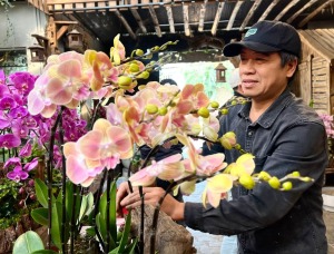 Khỏi nghiệp hoa kiểng