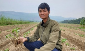 Kinh doanh nông sản