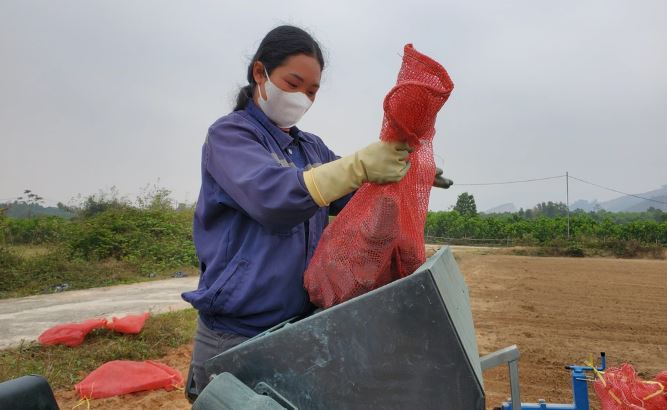 Sản phẩm nông nghiệp lên ngôi