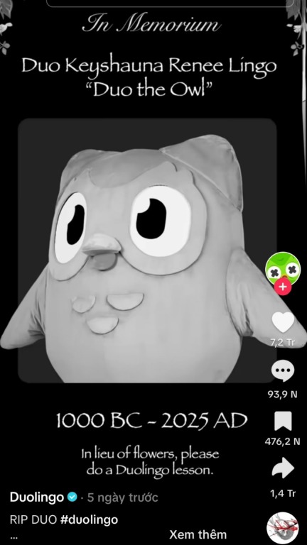 Duolingo 