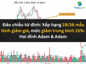 bach-khoa-toan-thu-mau-hinh-bieu-do-dao-chieu-tu-dinh-xep-hang-19-36-mau-hinh-giam-gia-muc-giam-trung-binh-15-hai-dinh-adam-adam-happy-live-3