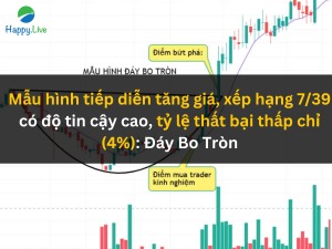 bach-khoa-toan-thu-mau-hinh-bieu-do-mau-hinh-tiep-dien-tang-gia-xep-hang-7-39-co-do-tin-cay-cao-ty-le-that-bai-thap-chi-4-day-bo-tron-happy-live-1