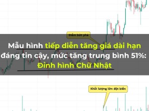 mau-hinh-tiep-dien-tang-gia-dai-han-dang-tin-cay-muc-tang-trung-binh-51-dinh-hinh-chu-nhat-happy-live-4