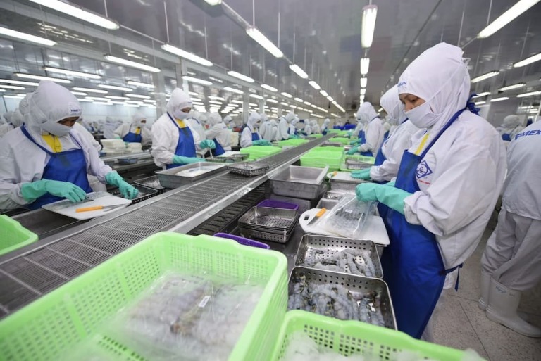 Không ESG = Không tương lai xuất khẩu