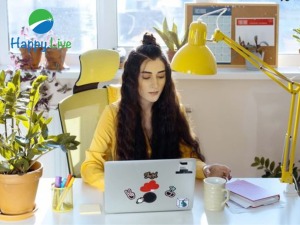 VÌ SAO NGƯỜI LÀM SÁNG TẠO DỄ BỊ MẮC KẸT?