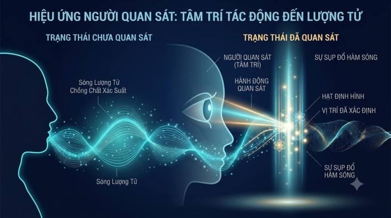 Tác động của người quan sát lên trường năng lượng lượng tử