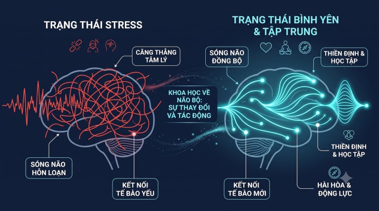 Cơ sở khoa học thần kinh của quá trình tái cài đặt tiềm thức